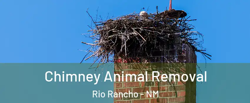  Chimney Animal Removal Rio Rancho - NM