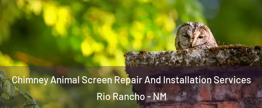  Chimney Animal Screen Repair And Installation Services Rio Rancho - NM
