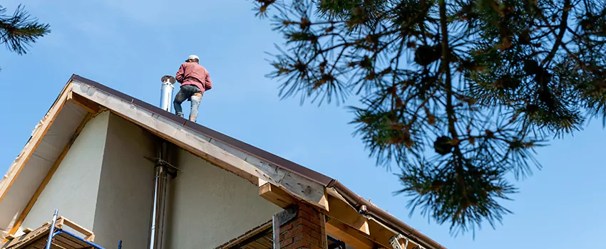 Birds Removal Contractors from Chimney in Rio Rancho, NM