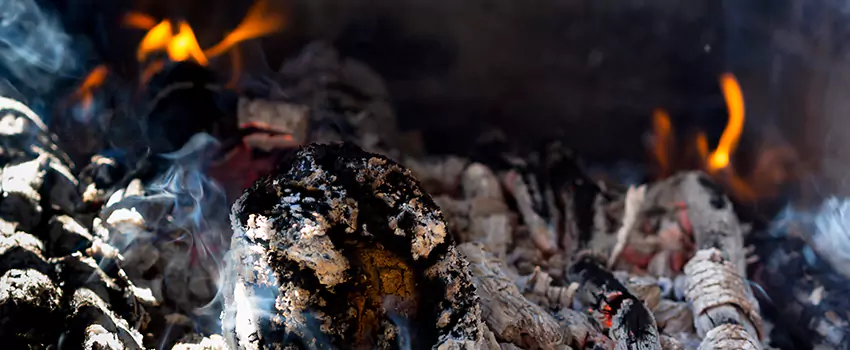 Creosote Removal Experts in Rio Rancho, NM
